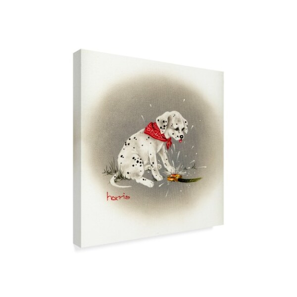 Peggy Harris 'Dalmatian Sprinkles' Canvas Art,35x35